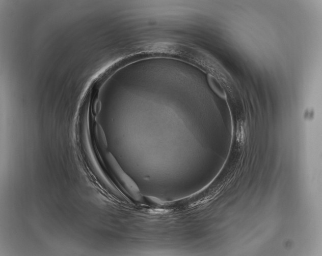 X0000097830388200803141150