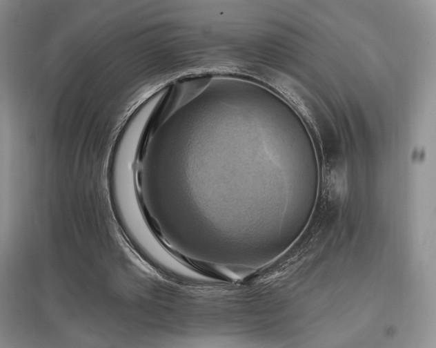 X0000097830389200803141150