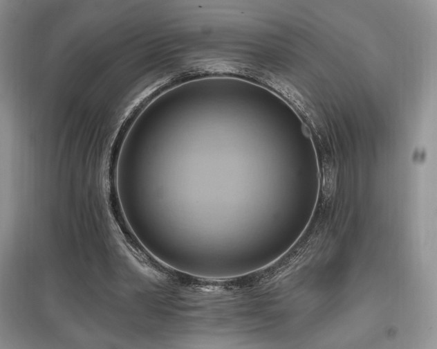 X0000097830390200803141150