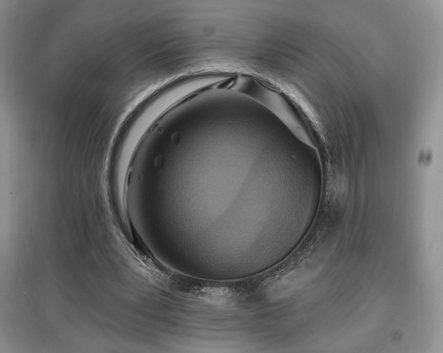 X0000097830391200803141150