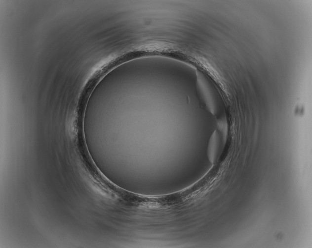 X0000097830392200803141150