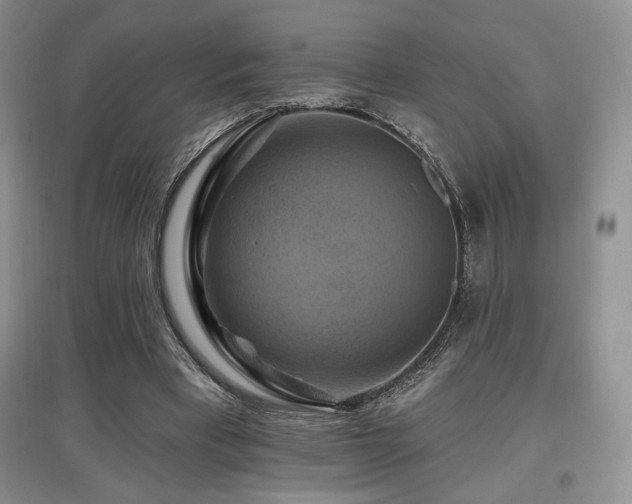 X0000097830393200803141150