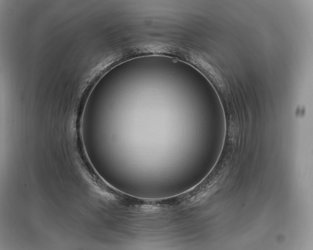 X0000097830394200803141150