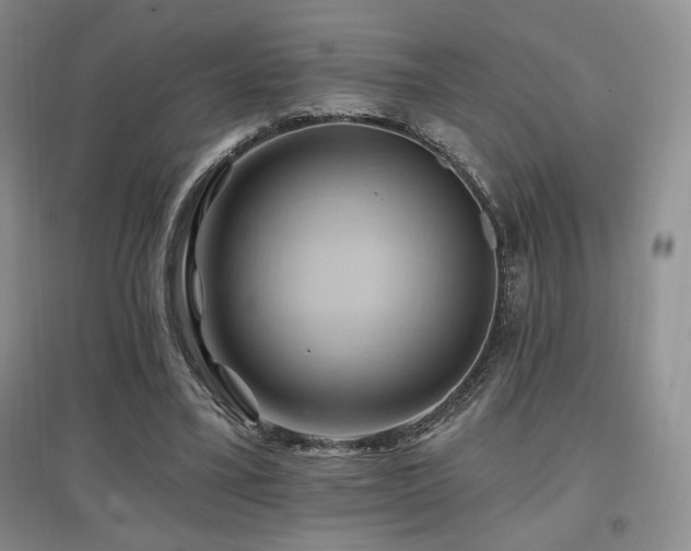 X0000097830395200803141150