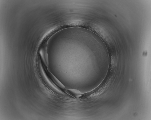 X0000097830396200803141150