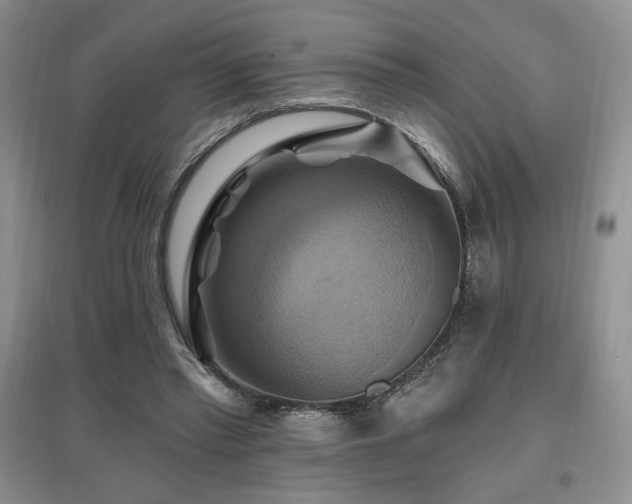 X0000097830397200803141150