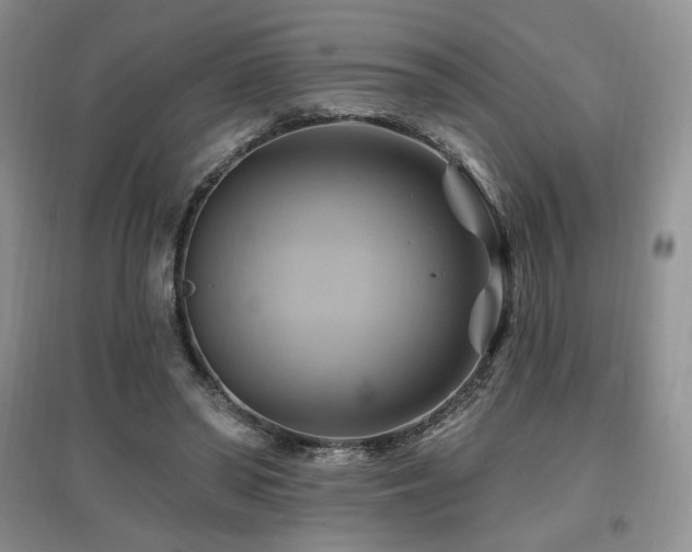 X0000097830398200803141150