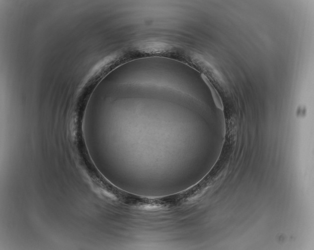 X0000097830400200803141150