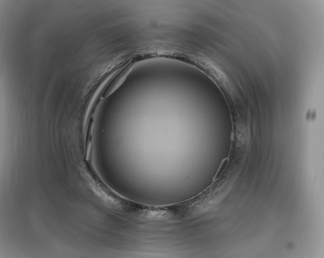X0000097830401200803141150