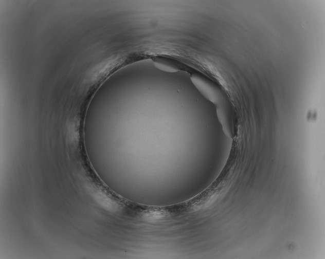 X0000097830402200803141150