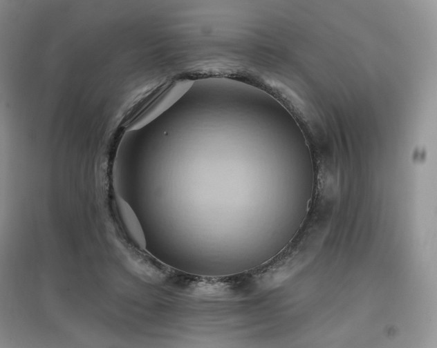 X0000097830403200803141150