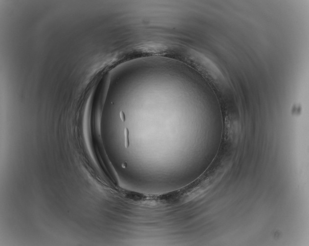X0000097830404200803141150