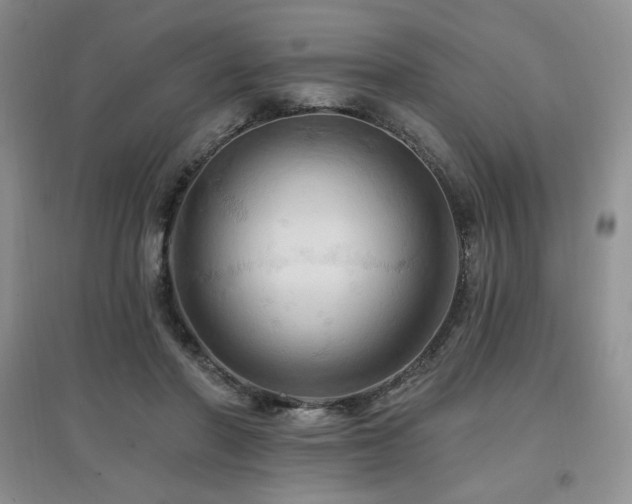 X0000097830406200803141150
