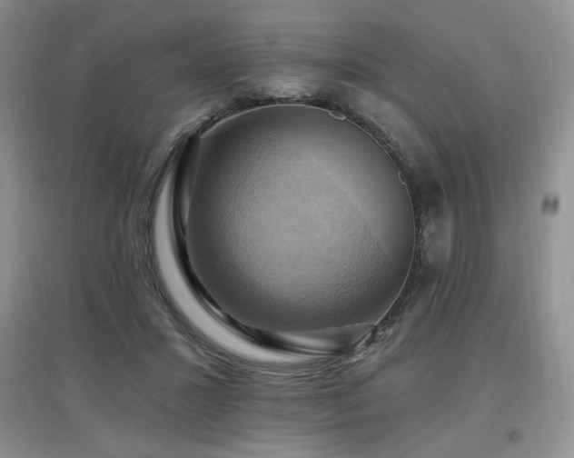 X0000097830407200803141150