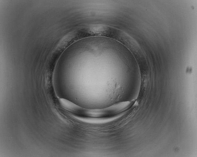 X0000097830408200803141149