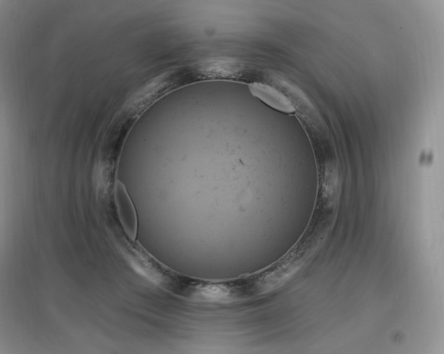 X0000097830409200803141149