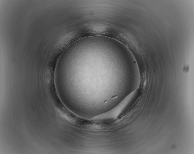 X0000097830412200803141149
