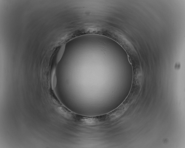 X0000097830417200803141149