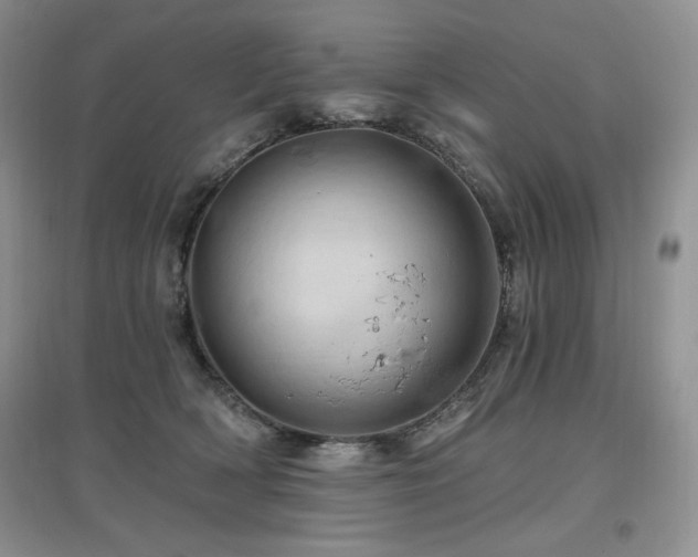 X0000097830418200803141149