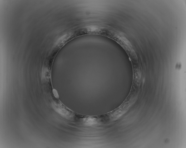 X0000097830419200803141149