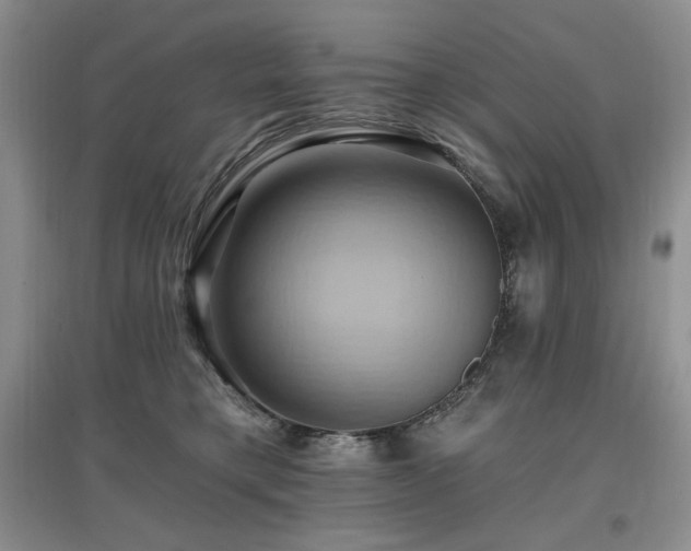 X0000097830421200803141149