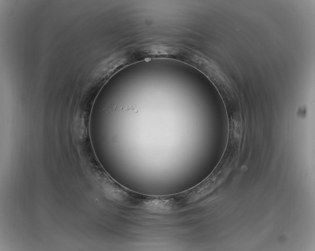 X0000097830422200803141149