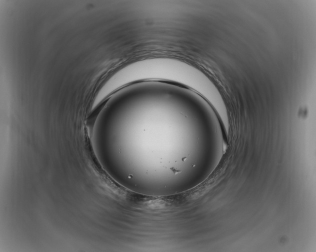 X0000097830423200803141149