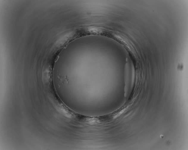 X0000097830424200803141149