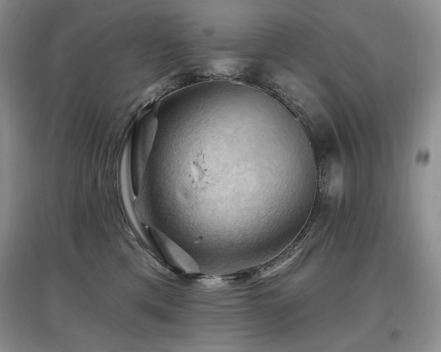 X0000097830425200803141149