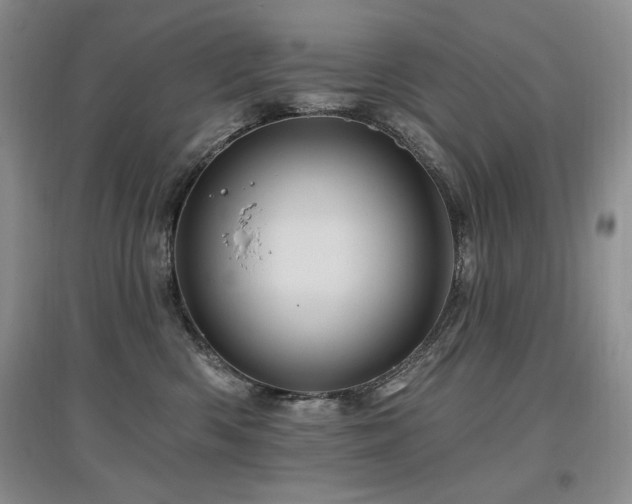 X0000097830426200803141149