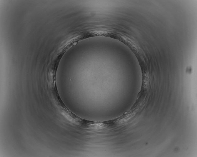 X0000097830428200803141149