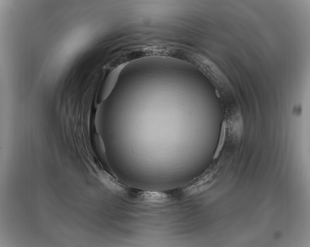 X0000097830429200803141149