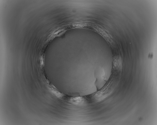 X0000097830431200803141149