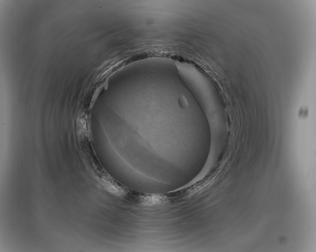 X0000097830432200803141149