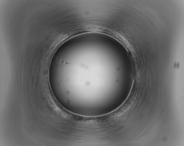 X0000097830433200803141148