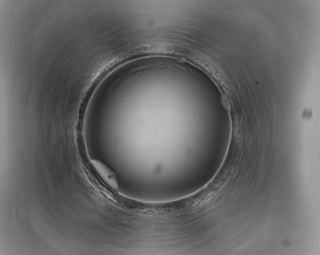 X0000097830434200803141148