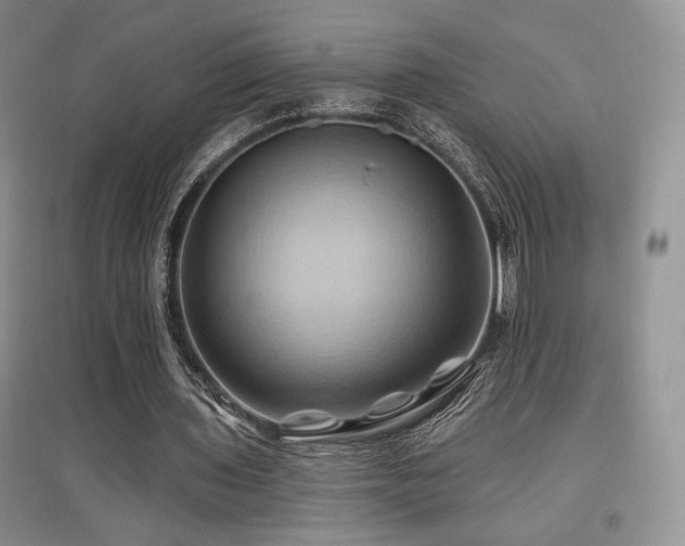 X0000097830435200803141148