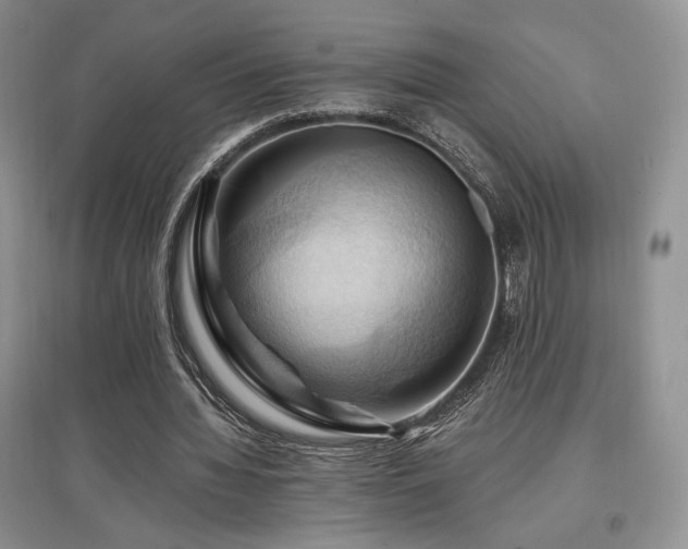 X0000097830436200803141148