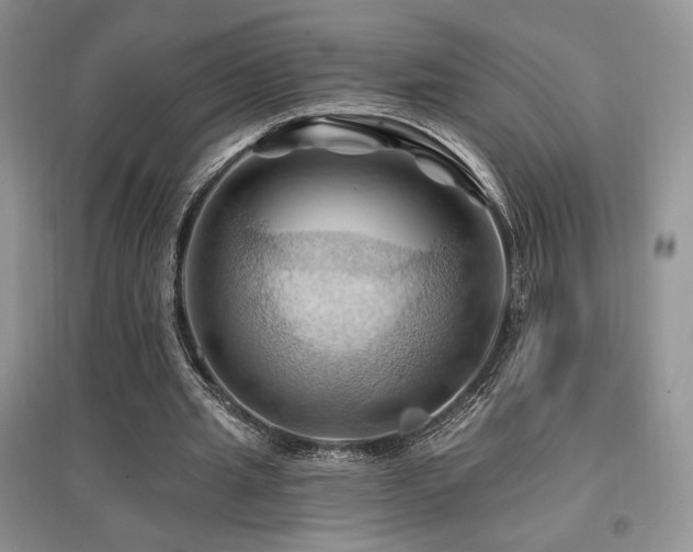 X0000097830437200803141148