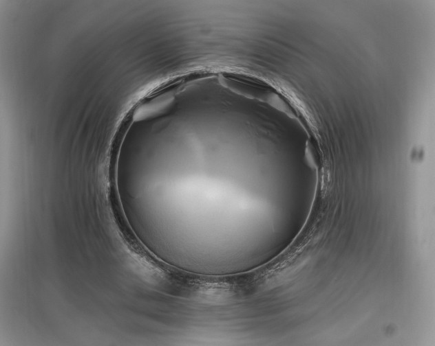 X0000097830438200803141148