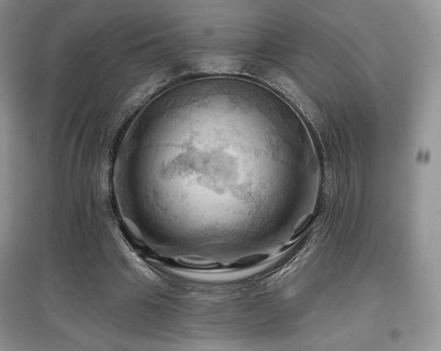X0000097830441200803141148