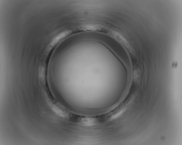 X0000097830444200803141149