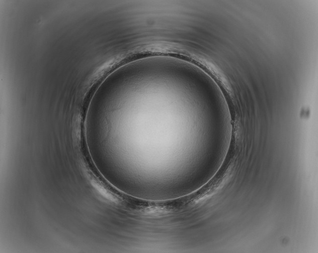 X0000097830445200803141149
