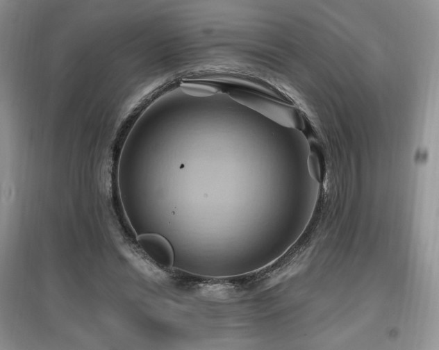 X0000097830446200803141149