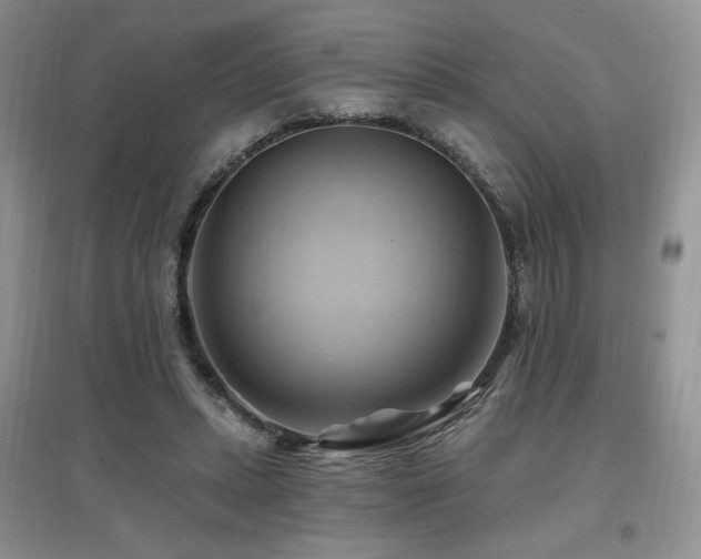 X0000097830447200803141149