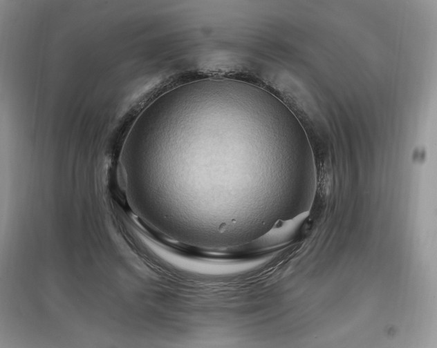 X0000097830448200803141149