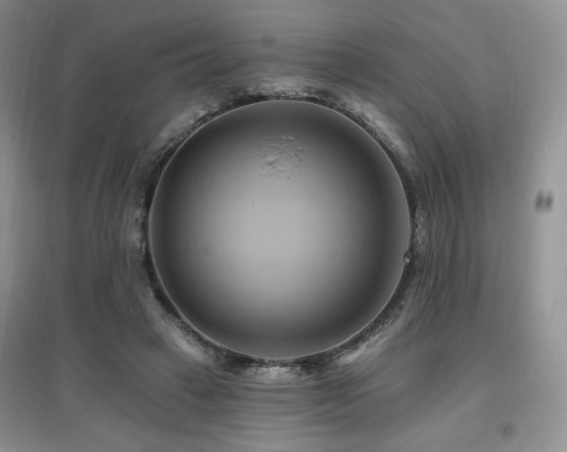 X0000097830449200803141149