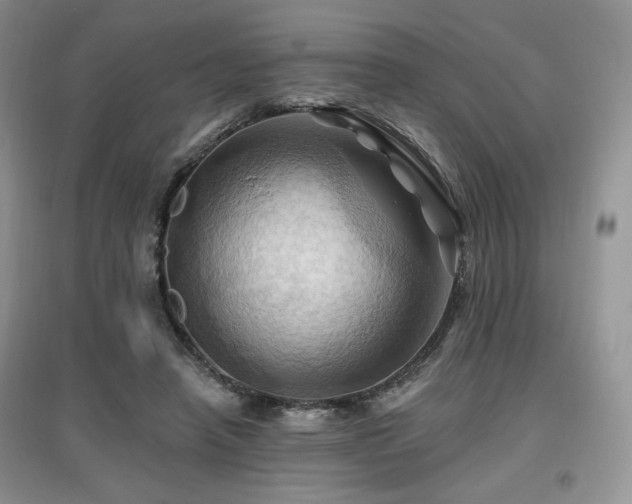 X0000097830450200803141149