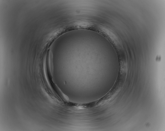 X0000097830451200803141149