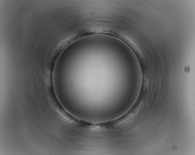 X0000097830453200803141149